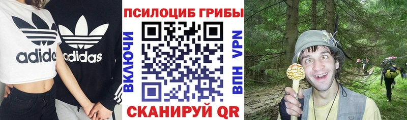 Псилоцибиновые грибы ЛСД  Купить  Новоалтайск 